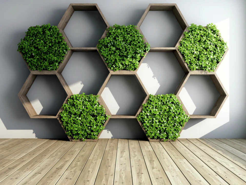 Intérieur moderne avec mur gris et parquet bois clair